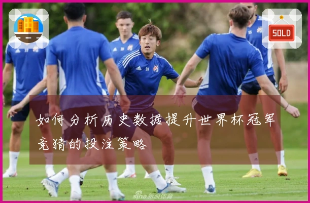 如何分析历史数据提升世界杯冠军竞猜的投注策略