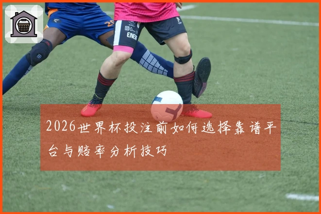2026世界杯投注前如何选择靠谱平台与赔率分析技巧
