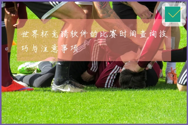 世界杯竞猜软件的比赛时间查询技巧与注意事项