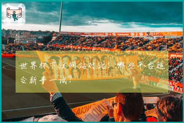 世界杯下注网站对比：哪些平台适合新手一试？