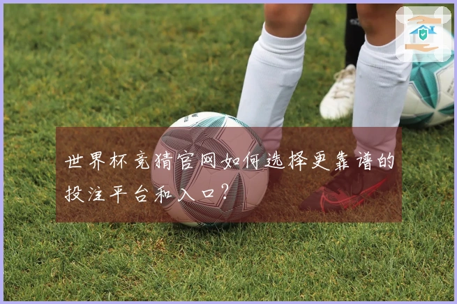 世界杯竞猜官网如何选择更靠谱的投注平台和入口？