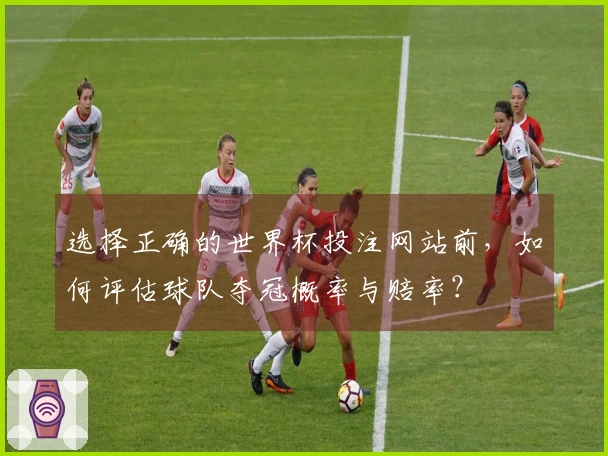 选择正确的世界杯投注网站前，如何评估球队夺冠概率与赔率？