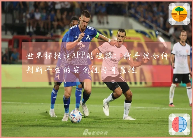 世界杯投注APP的选择：新手该如何判断平台的安全性与可靠性