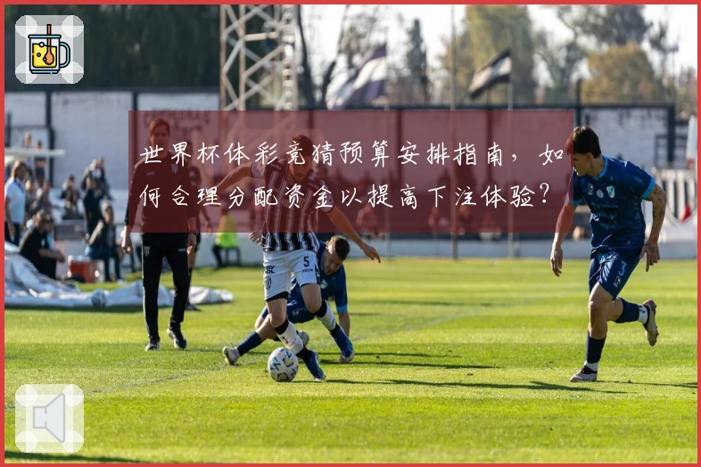 世界杯体彩竞猜预算安排指南，如何合理分配资金以提高下注体验？