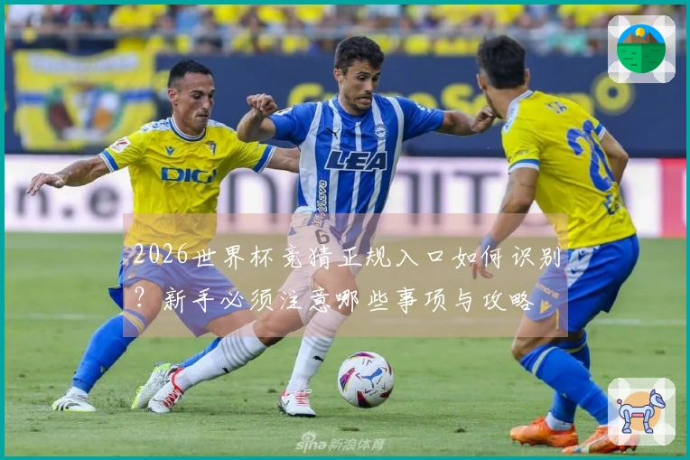 2026世界杯竞猜正规入口如何识别？新手必须注意哪些事项与攻略