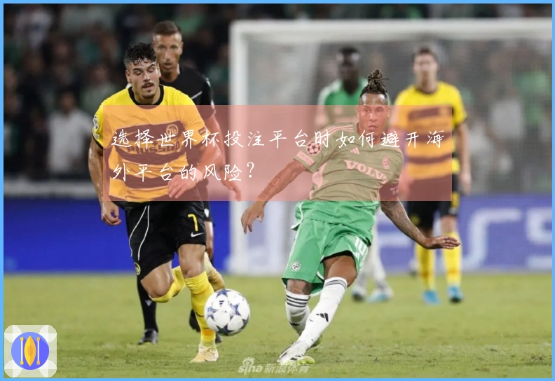 选择世界杯投注平台时如何避开海外平台的风险？