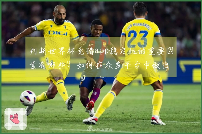 判断世界杯竞猜app稳定性的重要因素有哪些？如何在众多平台中做出明智选择？