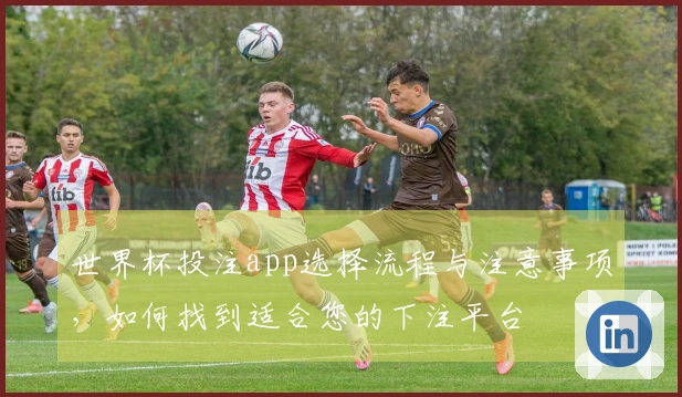 世界杯投注app选择流程与注意事项，如何找到适合您的下注平台