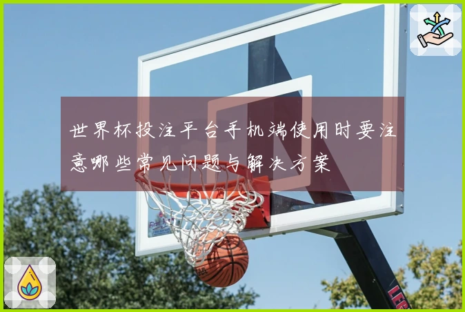 世界杯投注平台手机端使用时要注意哪些常见问题与解决方案