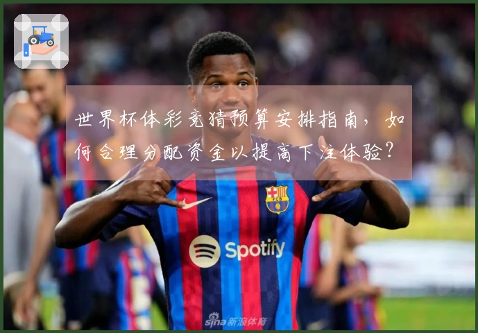 世界杯体彩竞猜预算安排指南，如何合理分配资金以提高下注体验？
