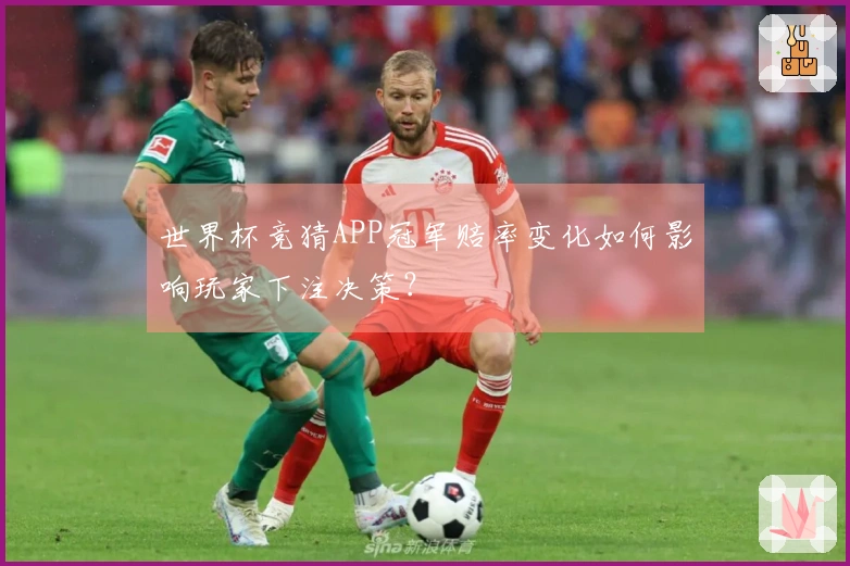 世界杯竞猜APP冠军赔率变化如何影响玩家下注决策？