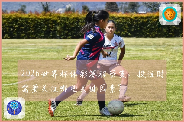 2026世界杯体彩赛程密集，投注时需要关注哪些关键因素？