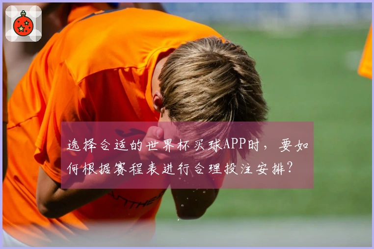 选择合适的世界杯买球APP时，要如何根据赛程表进行合理投注安排？